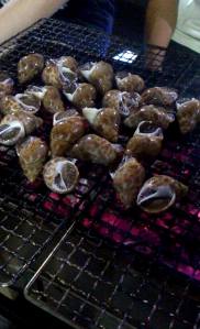 Snails in the frying process 